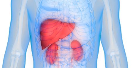 stomach-liver-and-kidney-issues