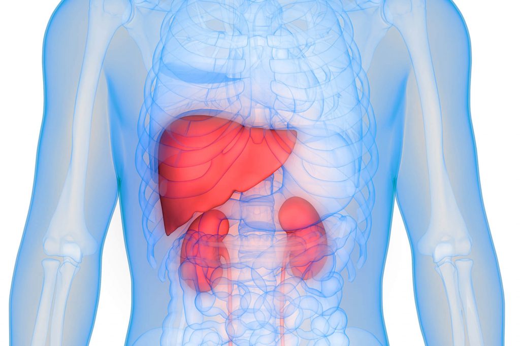 stomach-liver-and-kidney-issues